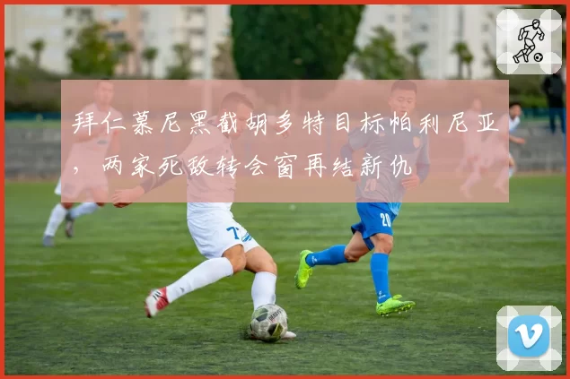 拜仁慕尼黑截胡多特目标帕利尼亚,两家死敌转会窗再结新仇