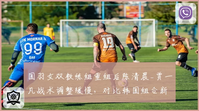 国羽女双教练组重组后陈清晨_贾一凡战术调整缓慢,对比韩国组合新体系适应慢3周__br_